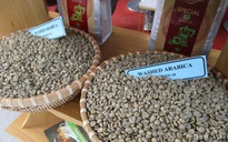 Giá cà phê hôm nay 19-12: Robusta tiếp tục giảm nhưng Arabica tăng 