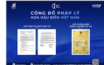 Thực hư tranh chấp tên gọi "Hoa hậu Biển Việt Nam 2024"