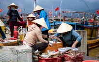 Đầu năm kéo 'lộc biển', ngư dân thu tiền triệu mỗi ngày