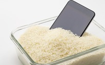 Có nên bỏ iPhone ướt vào thùng gạo?