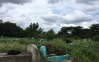 Ngày 24-2, quận Bình Tân chính thức bốc 1.836 mộ ở Nghĩa trang Bình Hưng Hòa