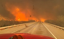 Nỗ lực ngăn cháy rừng lan rộng ở Úc, Mỹ
