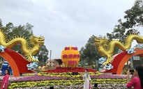 Đôi rồng vàng vừa lộ diện đã “hút” khách ở Bình Phước