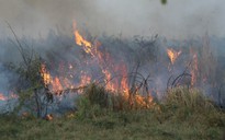 TP HCM: Cây cỏ ở Khu Công nghệ cao cháy ngùn ngụt, Đại học Quốc gia bị ảnh hưởng