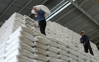 Thủ tướng yêu cầu nghiên cứu sàn giao dịch thóc gạo