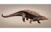 Xuất hiện "cá sấu quái vật" ở Mỹ, y như giáp long kỷ Jura