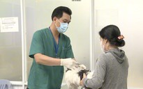 TP HCM đang tổ chức tiêm vắc-xin dại đại trà cho chó, mèo