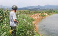 Bờ sông Ngàn Phố sạt lở nghiêm trọng, người dân lo mất hết đất sản xuất