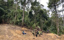 Chủ đầu tư thủy điện phá rừng: Quảng Nam yêu cầu làm rõ trách nhiệm