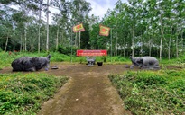 Kinh đô kháng chiến nhà Hậu Lê bị lãng quên