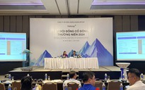 Bà Nguyễn Thanh Phượng nói về 3 thành viên HĐQT Công ty Vietcap từ nhiệm