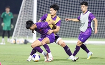 Vì sao bóng đá Đông Nam Á sa sút?