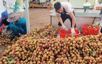 Rau củ, trái cây Tây Nguyên đổ về TP HCM ngày càng nhiều