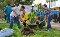 Trồng cây, phát triển mảng xanh tại phường 2, quận Tân Bình, TP HCM