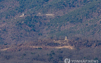 Cáo buộc binh sĩ Triều Tiên qua biên giới, Hàn Quốc nổ súng cảnh cáo