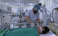 Suy đa tạng, nguy kịch sau khi ăn thịt lợn ốm chết