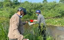 Cụm công nghiệp thiếu hệ thống xử lý nước thải, gây ô nhiễm