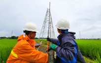 VIDEO: Người lao động ngành điện "dầm mưa" thi công Đường dây 500 kV