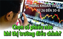 Chứng khoán tuần tới (từ 26 đến 30-8): Chọn cổ phiếu nào khi thị trường điều chỉnh?