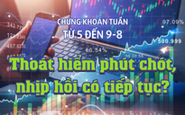 Chứng khoán tuần tới (từ ngày 5 đến 9-8): Thoát hiểm phút chót, nhịp hồi có tiếp tục?