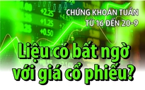 Chứng khoán tuần tới (từ 16 đến 20-9): Liệu có bất ngờ với giá cổ phiếu?