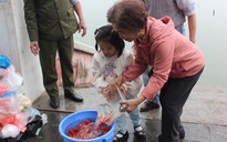 Gom cá chép vào thùng nhựa 180 lít thả xuống sông Hồng để tiễn ông Công, ông Táo về trời