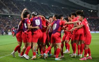 Tuyển Việt Nam vô địch ASEAN Cup 2024: Chiến thắng của bản lĩnh!