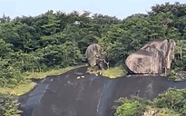 CLIP: Xôn xao 4 con vật lạ trắng như tuyết trên đỉnh Ma Thiên Lãnh