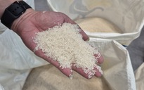 Quốc gia nhập khẩu gạo số 1 thế giới lại có động thái mới
