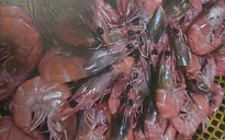 Tiếp tục tạm đình chỉ công tác Hiệu trưởng Trường Tiểu học Trưng Vương