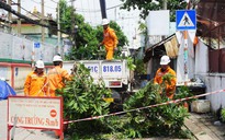 EVNHCMC bảo đảm an toàn điện mùa mưa bão