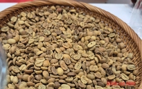 Giá cà phê hôm nay 18-10: Robusta hạ nhiệt