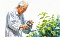 Hồi đáp từ cỏ cây