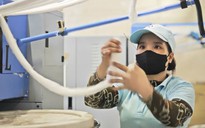 Khởi nghiệp xanh gặp nhiều thách thức