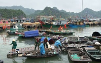 Kích hoạt biện pháp ứng phó với bão số 12