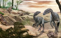 "Ông tổ" của những quái thú "vĩ đại nhất" lộ diện