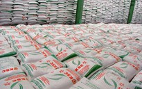 5 doanh nghiệp trúng đấu giá hạn ngạch nhập khẩu 100.000 tấn đường