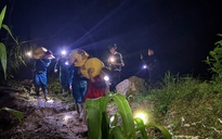 Xuất hiện vết nứt lớn, Đà Nẵng sơ tán hàng chục hộ dân trong đêm