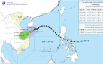 EVNCPC chủ động ứng phó bão số 12 (Fengshen)