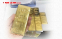 Ngỡ ngàng cách thức vận chuyển 500 kg vàng lậu vào Việt Nam