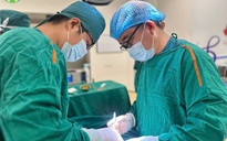 Tai nạn hy hữu: Vỡ tinh hoàn khi đi chơi trong khu du lịch