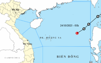 Tin mới về áp thấp nhiệt đới trên Biển Đông