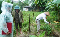 VIDEO: Xuất hiện hố sụt "không đáy" bất thường sau mưa lớn ở Quảng Trị