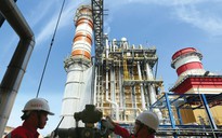 Hàng loạt công ty điện báo lãi lớn