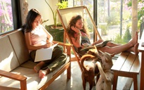 Khởi nghiệp với homestay không hề dễ dàng