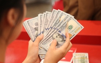 Giá USD tự do thế nào sau khi Ngân hàng Nhà nước đề nghị 3 bộ phối hợp quản lý?