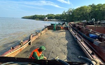 Chủ tịch UBND TP HCM chỉ đạo khẩn về vật liệu xây dựng