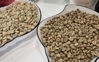 Giá cà phê hôm nay, 28-10: Giảm rất mạnh do bị bán tháo
