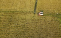 Góp ý dự thảo Văn kiện Đại hội XIV của Đảng: Khoa học, công nghệ là chìa khóa