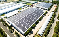 Bamboo Capital và Tracodi xin lỗi cổ đông khi cổ phiếu bị đình chỉ